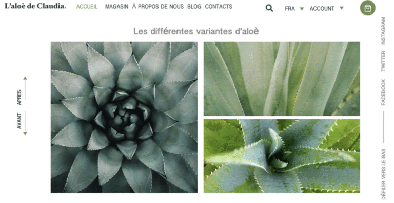 site web